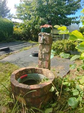 Foto - Kleingarten Ribnitz Damgarten Ost Gartenhaus Obstgarten Garten