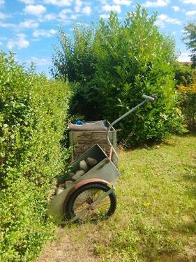 Foto - Grundst&uuml;ck zur Miete in Ribnitz-Damgarten