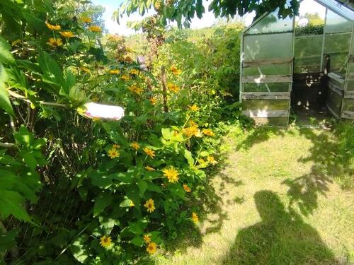 Foto - Grundst&uuml;ck in Ribnitz-Damgarten