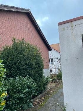 Foto - Erdgeschoßwohnung in Braunschweig zur Miete