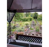 kleingarten - 600,00 EUR Kaltmiete, ca.  0,00 m² in Clausthal-Zellerfeld (PLZ: 38678)