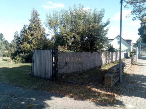 Foto - Einfamilienhaus zum Kaufen in Gommern