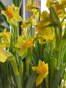 Foto - 3 Zimmer Etagenwohnung zur Miete in Hof