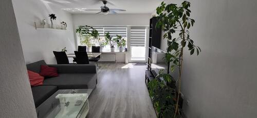 Foto - 2,5-Zimmer-Wohnung mit Balkon & Aufzug – Blick auf die Wallanlage