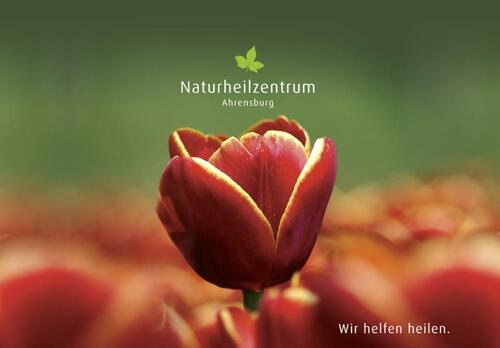 Foto - Schöne Praxisräume in Therapiezentrum