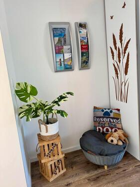 Foto - andere in Allensbach