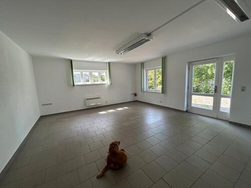 Foto - andere in Ratzeburg