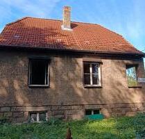 Einfamilienhaus mit Grundstück im Harz - Ilsenburg (Harz)