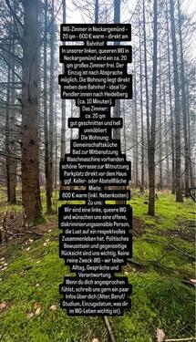 Foto - WG Zimmer Neckargemünd - 600,00&nbsp;EUR Kaltmiete, ca.&nbsp; 138,00&nbsp;m&sup2;