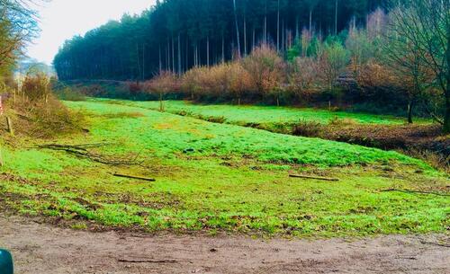 Foto - Wiesengrundstück mit Bachlauf, Rodalben