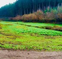 Wiesengrundstück mit Bachlauf, Rodalben
