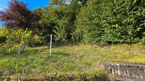 Foto - Einfamilienhaus in Heigenbrücken zum Kaufen