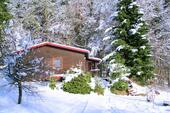 Foto - Ferienhaus Anna – Ruhe & Natur pur im Oberpfälzer Wald