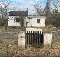 Parzelle in Bremen Walle zu vermieten - Delmenhorst Deichhorst