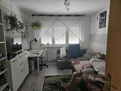 Foto - 3 Zimmer Erdgeschoßwohnung zur Miete in Magdeburg