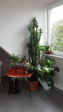 Foto - Dachgeschoßwohnung in Berlin zur Miete