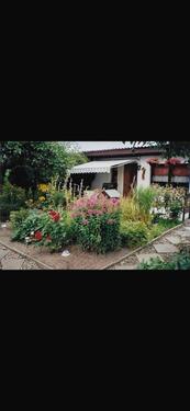 Foto - Garten in Altefähr günstig abzugeben