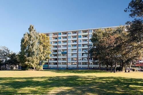 Foto - 1 Zimmer Etagenwohnung zur Miete in Hannover