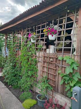 Foto - Grundst&uuml;ck zur Miete in Schwedt (Oder)