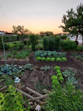 Foto - Grundst&uuml;ck in Schwedt (Oder)