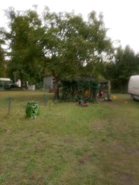 Foto - WOHNUNG SCHWARZHEIDE - 735,00 EUR Kaltmiete,