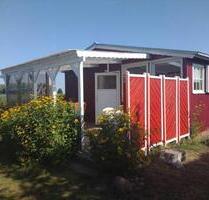 Ferienhaus am Haff – private Badestelle & Waldnähe – Mönkebude - Berlin Pankow