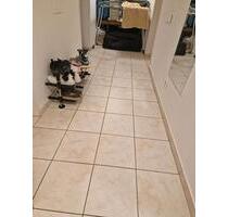 1 Zimmer in 3 Zi. WG - 390,00&nbsp;EUR Kaltmiete, ca.&nbsp; 24,00&nbsp;m&sup2; in Ludwigshafen am Rhein (PLZ: 67069) Edigheim