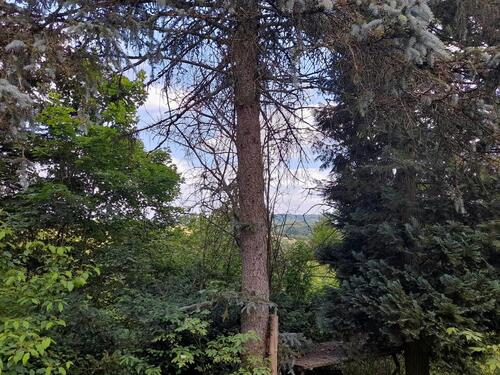 Foto - Bauplatz bzw. Gartengrundstück in Schwarzenbach - ca. 760 qm