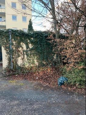 Foto - andere in Bonn