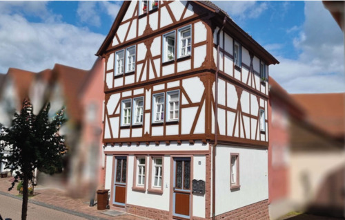 Foto - 5 Zimmer Mehrfamilienhaus, Wohnhaus zum Kaufen in Steinau an der Straße