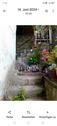 Foto - 5 Zimmer Einfamilienhaus in Odenbach