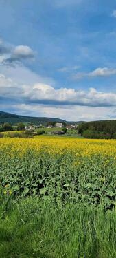 Foto - Doppelhaushälfte in Bayreuth zum Kaufen