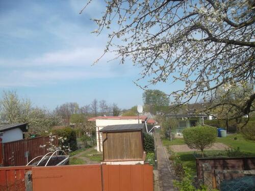 Foto - Bungalow in Bad Doberan zum Kaufen