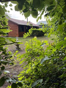Foto - Einfamilienhaus in Westerstede zum Kaufen