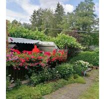 Bungalow mit Gartengrundstück - 28.000,00 EUR Kaufpreis, in Großbreitenbach (PLZ: 98701)