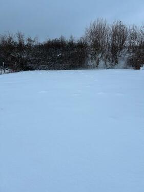 Foto - Einfamilienhaus in Hildesheim zum Kaufen