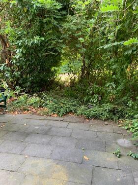 Foto - 1 Zimmer Terrassenwohnung zur Miete in Meerbusch