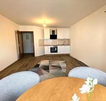 Mobilierte Wohnung 55m2 LU Mundenheim - Ludwigshafen am Rhein