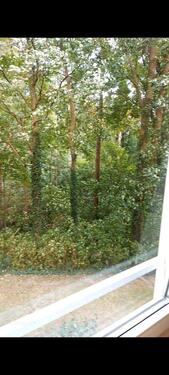 Foto - Etagenwohnung in Reinbek zum Kaufen