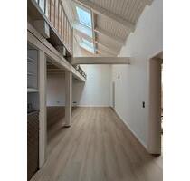 Renovierte helle Maisonette 4 Zimmer- Wohnung mit Dachterasse - Wiesloch