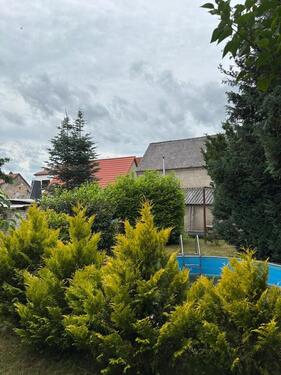 Foto - 5 Zimmer Einfamilienhaus zum Kaufen in Bad Schmiedeberg