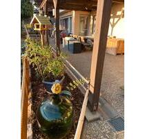 Wohnung zu vermieten 90qm mit Terrasse Waldems Steinfischbach