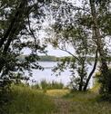 Foto - Wochenendhaus auf Eigentumsland in Friedersdorf am Muldestausee