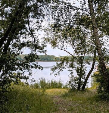 Foto - Wochenendhaus auf Eigentumsland in Friedersdorf am Muldestausee