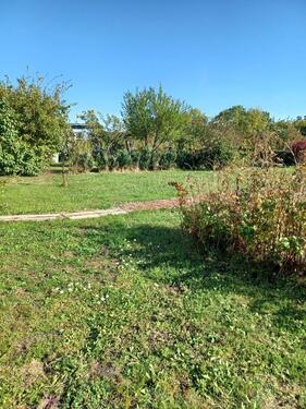 Foto - Pachtgarten 618 m² in Halle-Trotha