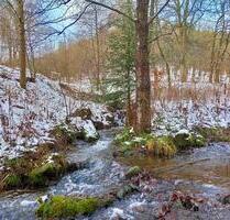 Vorweihnachten im Harz? Ferienwohnung Hohegeiß! - Braunlage