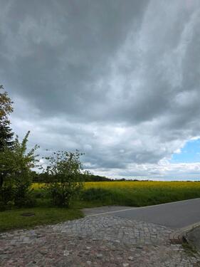 Foto - Grundst&uuml;ck zur Miete in Wulkenzin