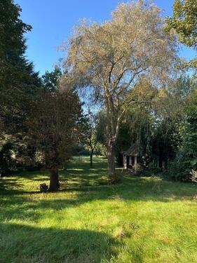 Foto - Einfamilienhaus in Nordenham zum Kaufen