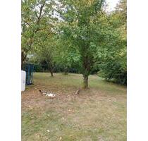 Freizeit Garten verpachten mieten - Alfeld (Leine)