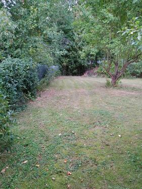 Foto - Grundst&uuml;ck in Alfeld (Leine)